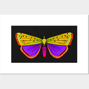 Butterfly Posters and Art